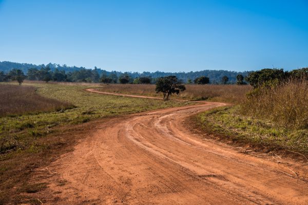 Dirt Driveway Repair in Lawrenceville